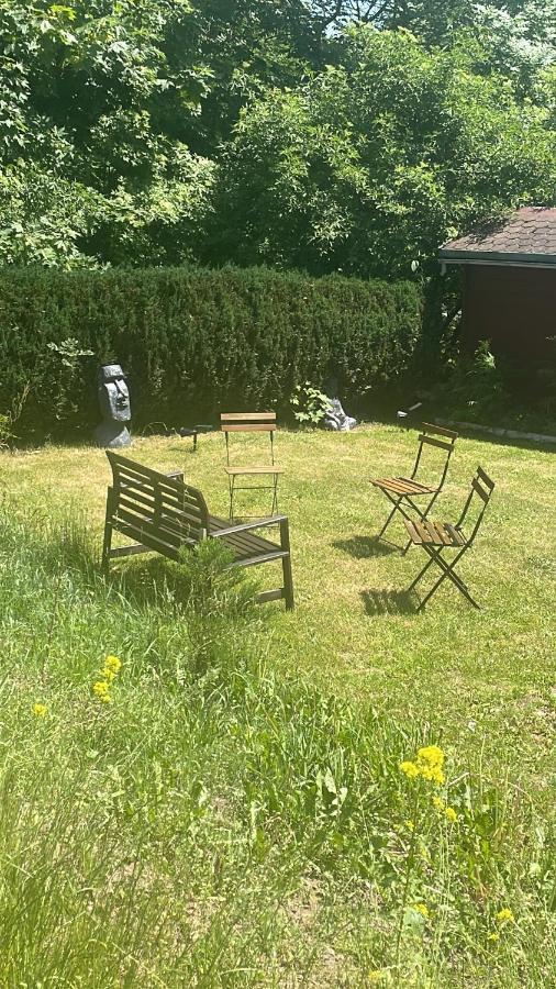 Chill Out Lodge Im Naturparadies Braunlage Exterior foto